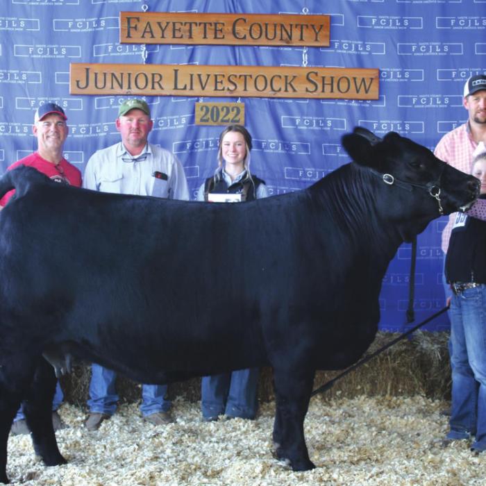 Fayette County Junior Livestock Heifer Show Champions