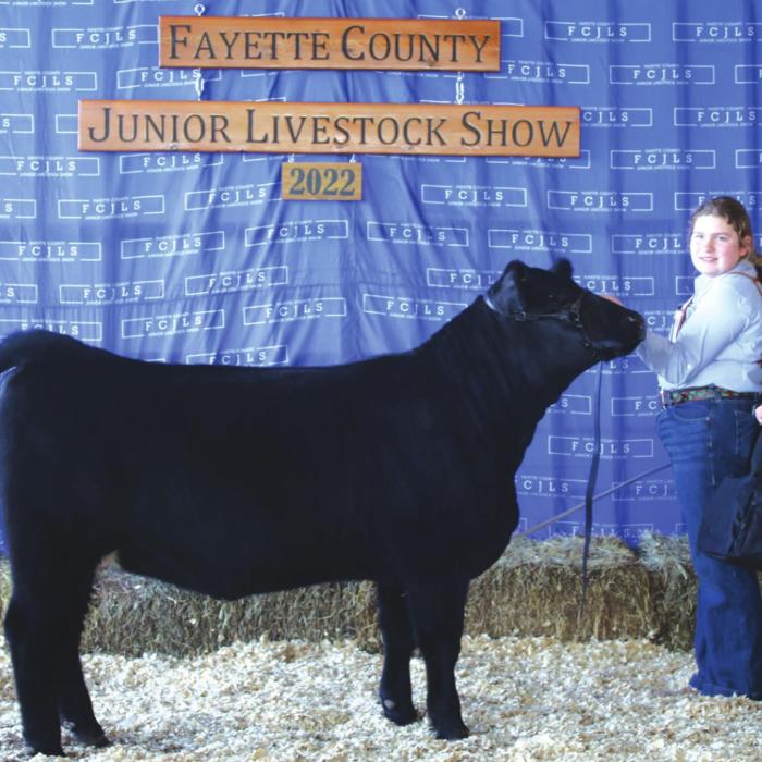 Fayette County Junior Livestock Heifer Show Champions