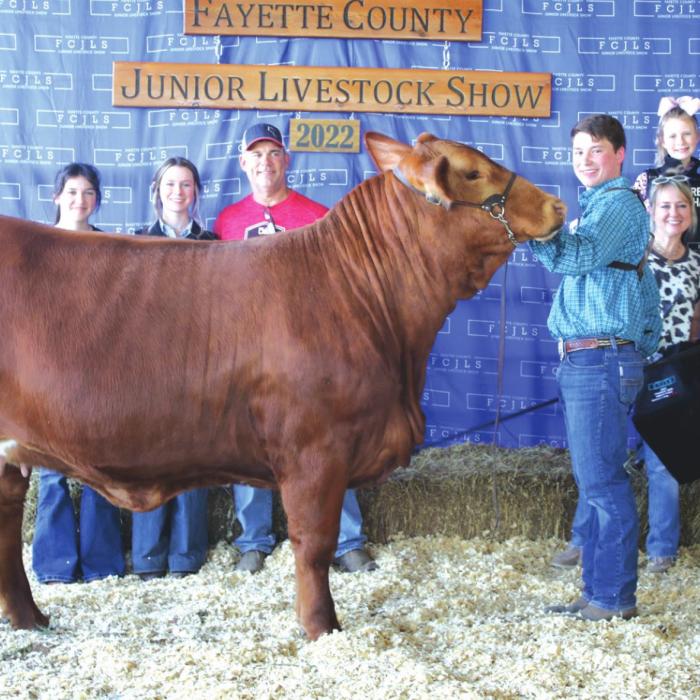 Fayette County Junior Livestock Heifer Show Champions
