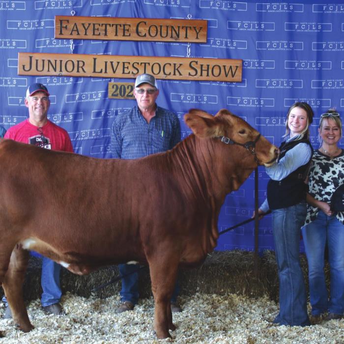 Fayette County Junior Livestock Heifer Show Champions