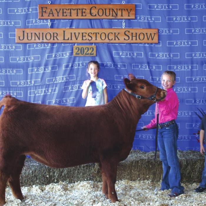 Fayette County Junior Livestock Heifer Show Champions