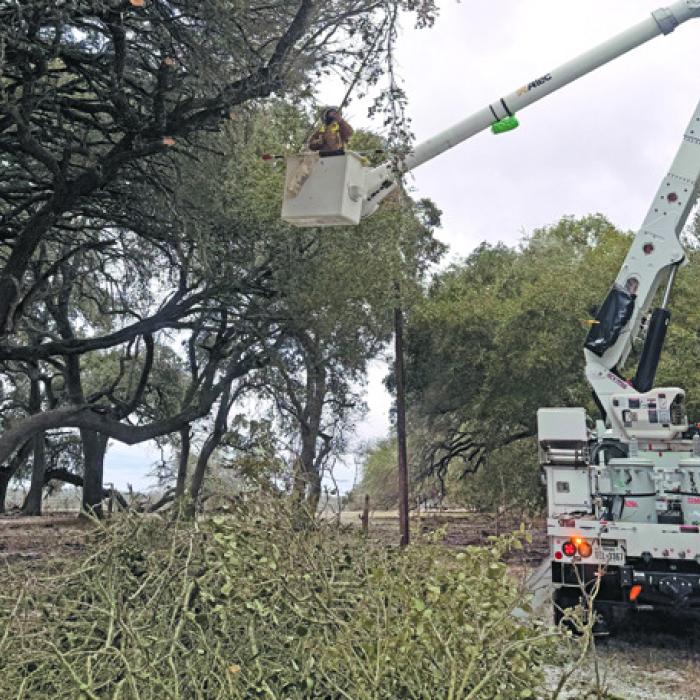 FEC Lineman Aaron Tonn trims a frozen branch away from a power line, helping restore service and prevent additional outages during last weekend’s winter weather.