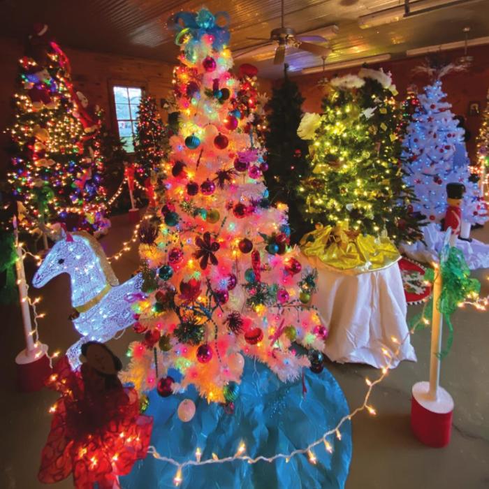 Christmas Tree Forest