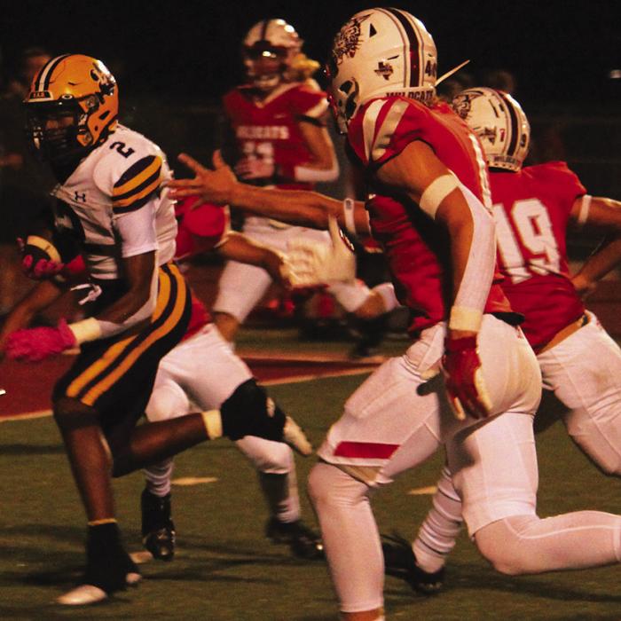 Leps Dominate Splendora 38-7