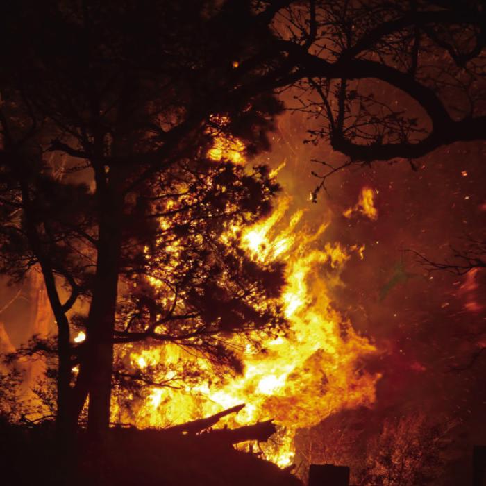 The Whirling Pines Fire blazes in the heavily wooded area near Camp Lost Pines Monday. Fayette Co. Sheriff’s Dept. Photo