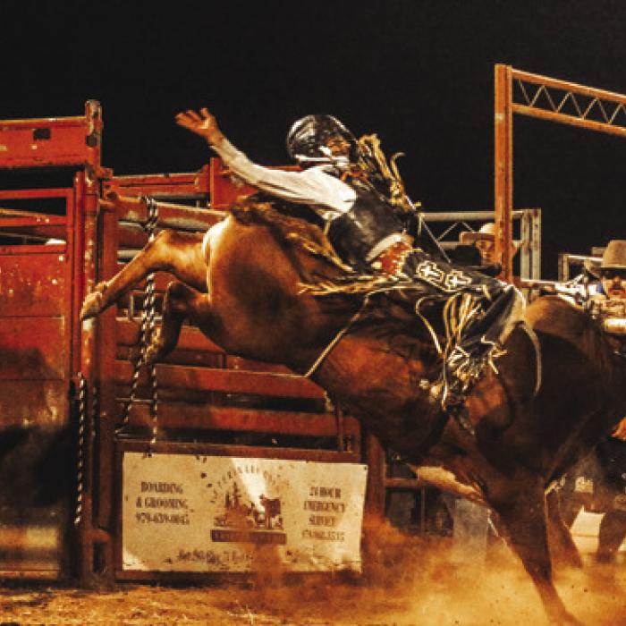 Bullriding action. Darling June Images
