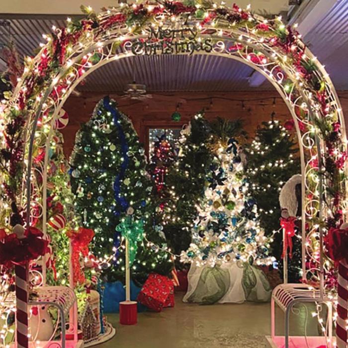 Grand entrance to the Fayetteville Tree Decorating Contest.