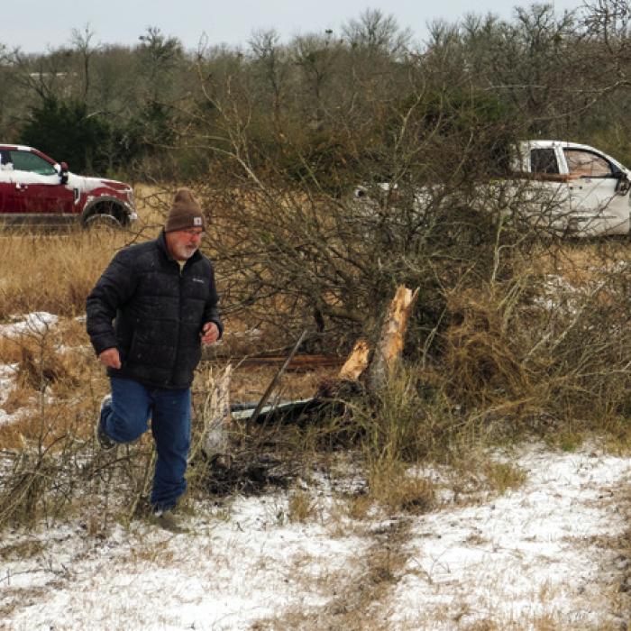 Above: The property owner crosses the fenceline at the spot where the pickup crashed and hit a tree after it slid off the highway.