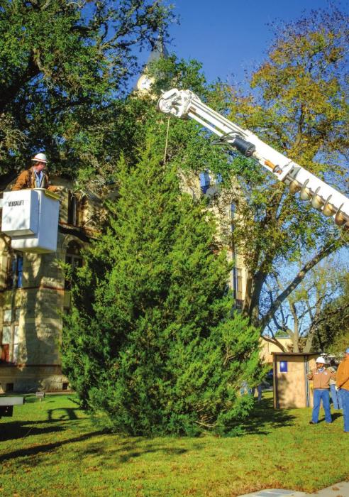 County workers set up a Christmas tree on the Courthouse lawn Tuesday morning, Dec. 1. The tree will be lit during the Schmeckenfest celebration on the square this Thursday. Photo by Andy Behlen