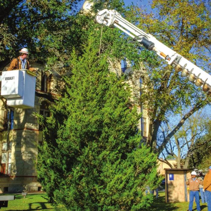 County workers set up a Christmas tree on the Courthouse lawn Tuesday morning, Dec. 1. The tree will be lit during the Schmeckenfest celebration on the square this Thursday. Photo by Andy Behlen