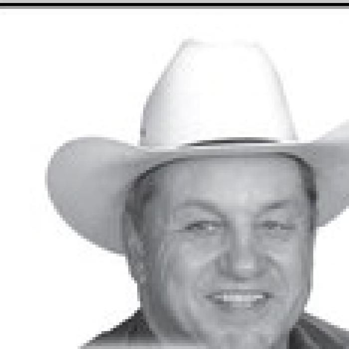 Sheriff Reports on November Activity