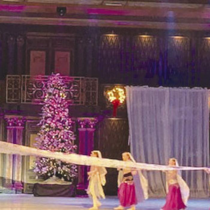 Ovation Ballet Company in Arabian