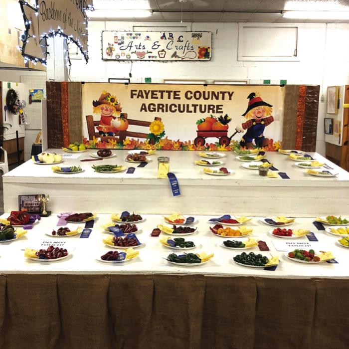 A photo from a previous Agriculture Exhibit at The Fayette County Fair.
