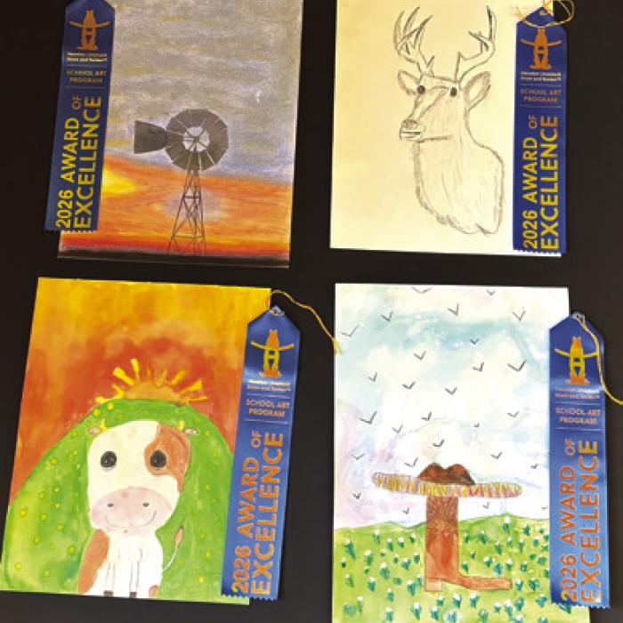 Homeschool Co-op Western Art Entries