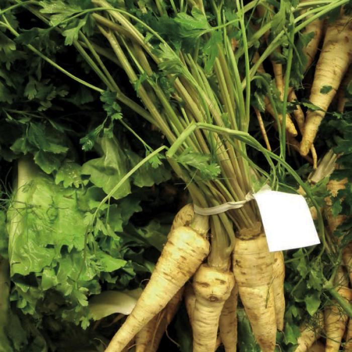 Parsnips look like white carrots, but their flavor is truly unique.