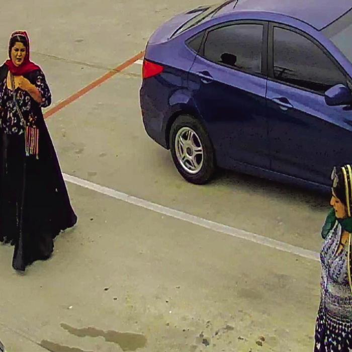 Suspects Sought in Ace Hardware Theft