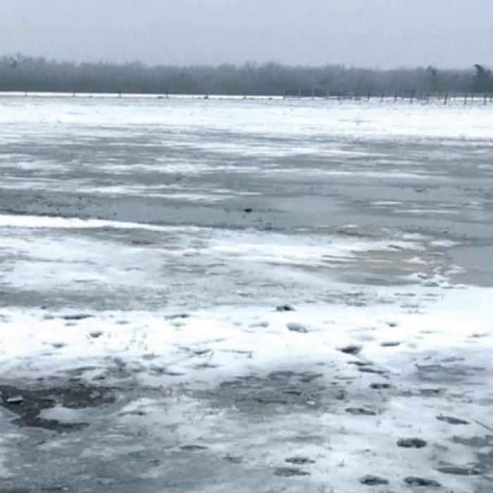 Scenes from Muldoon’s Winter Wonderland