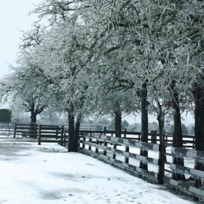 Scenes from Muldoon’s Winter Wonderland