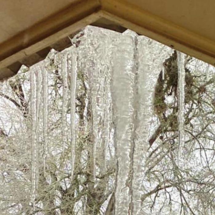 Scenes from Muldoon’s Winter Wonderland