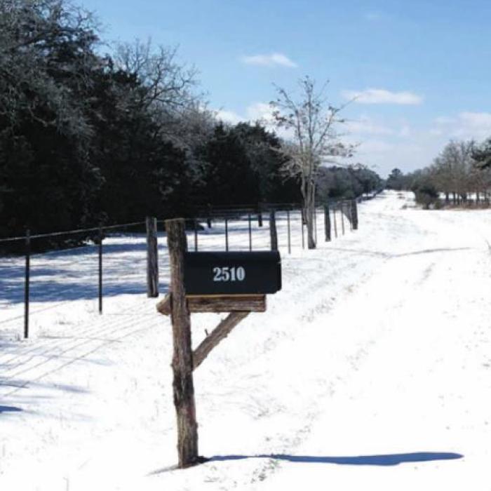 Scenes from Muldoon’s Winter Wonderland