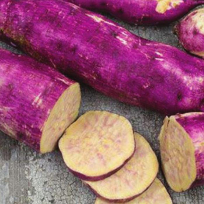 Myanmar Purple Sweet Potatoes