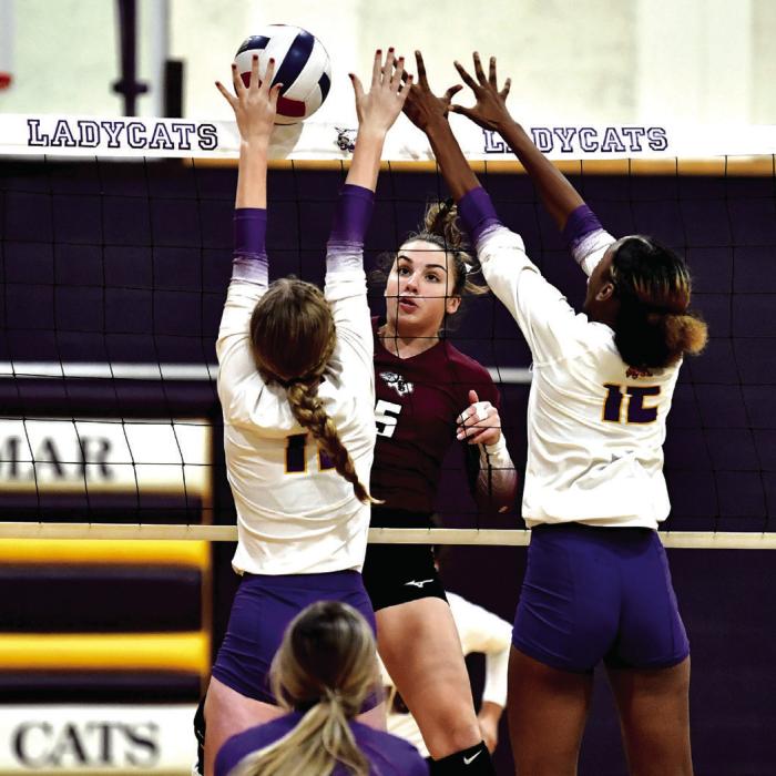 Weimar Downs Flatonia