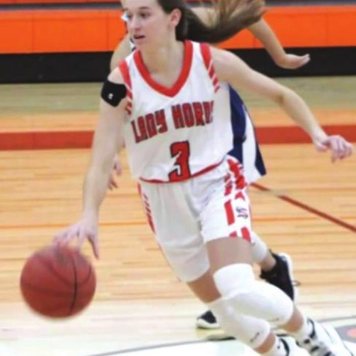 Lady Horns Earn All-State Honors