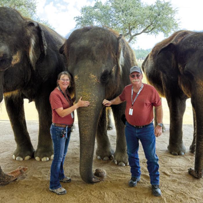 Joan and James Ivy recently visited The Preserve in Stonewall. They are pictured here with some of the resident elephants.