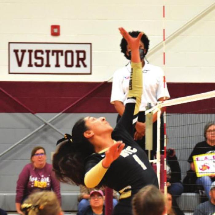 RT-C’s Ilse Salinas spikes the ball Monday.