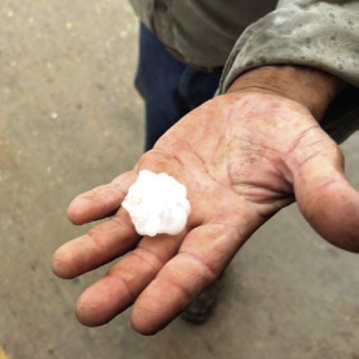 Ping pong-sized hail fell Tuesday in Flatonia. Photo by Daniel Wick