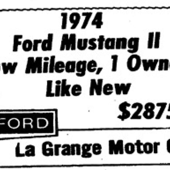 Alt Text for Image