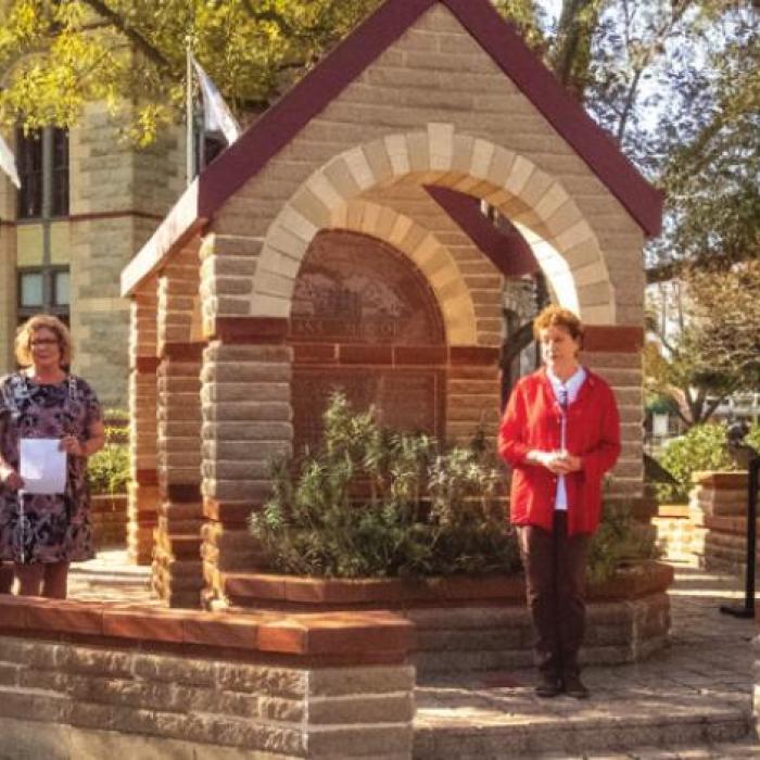 Lois Wink addresses the crowd at the Veterans Day service. Photos by Andy Behlen