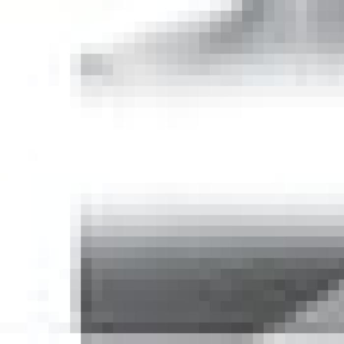 Alt Text for Image