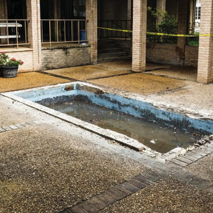 Fish Pond at City Hall Could Return