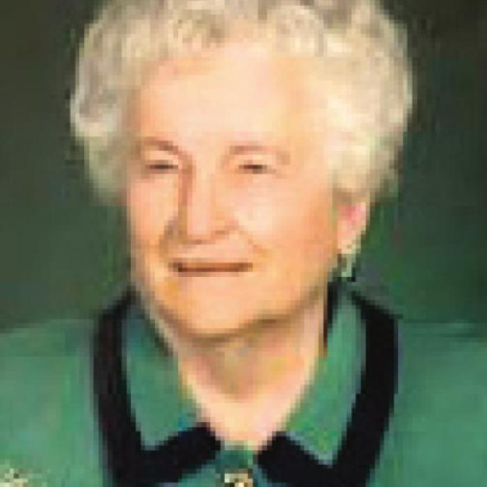 Orsak