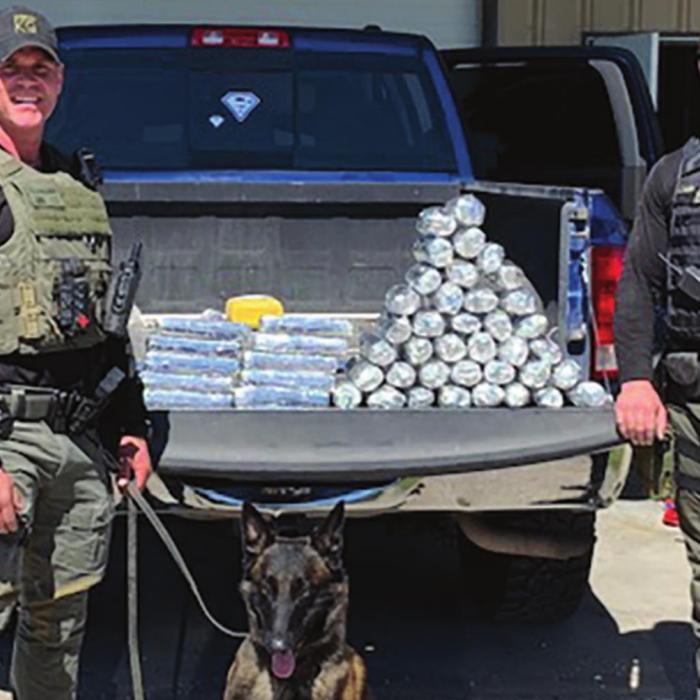 $7.3 Million in Drugs Seized Here