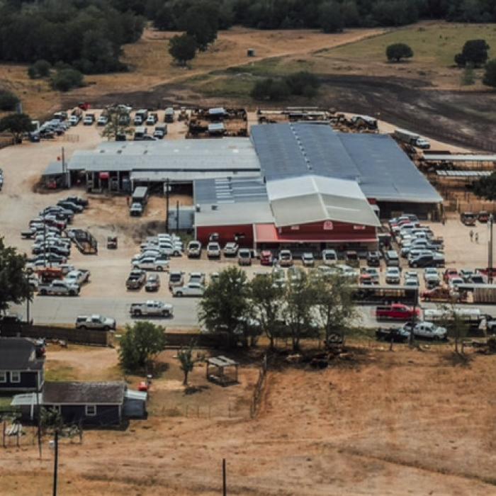 Schulenburg Livestock Reopens With a Big Sale