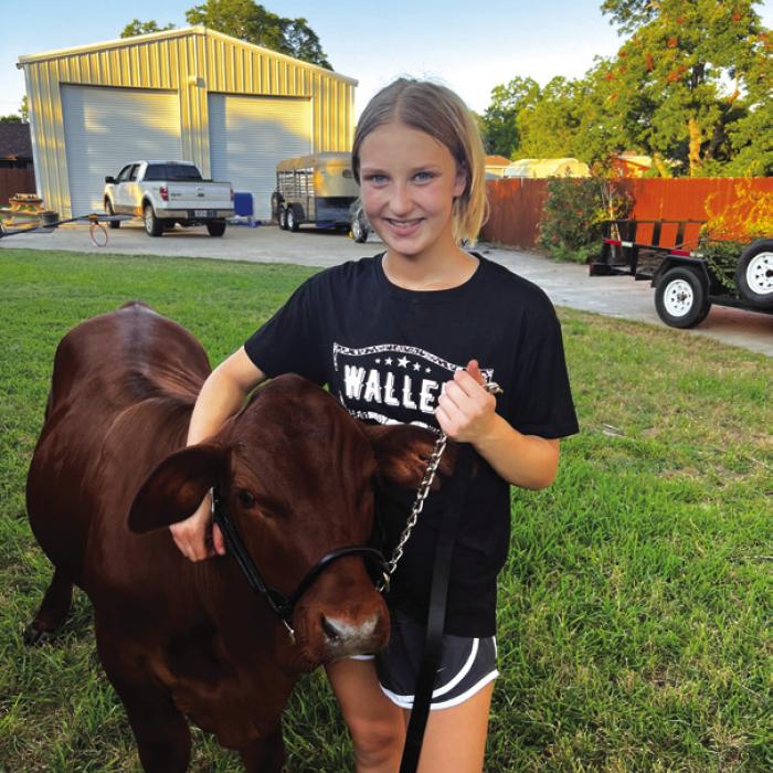 An Improba-bull Neighbor