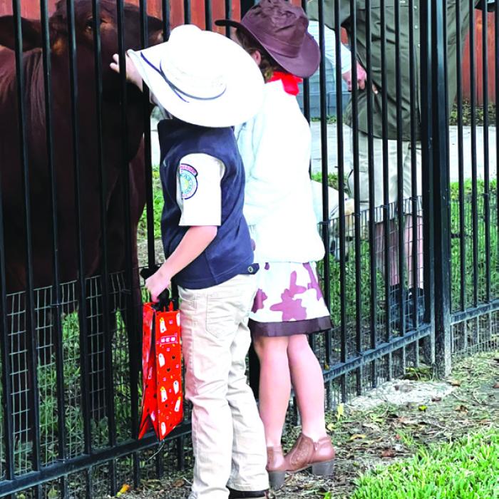 An Improba-bull Neighbor