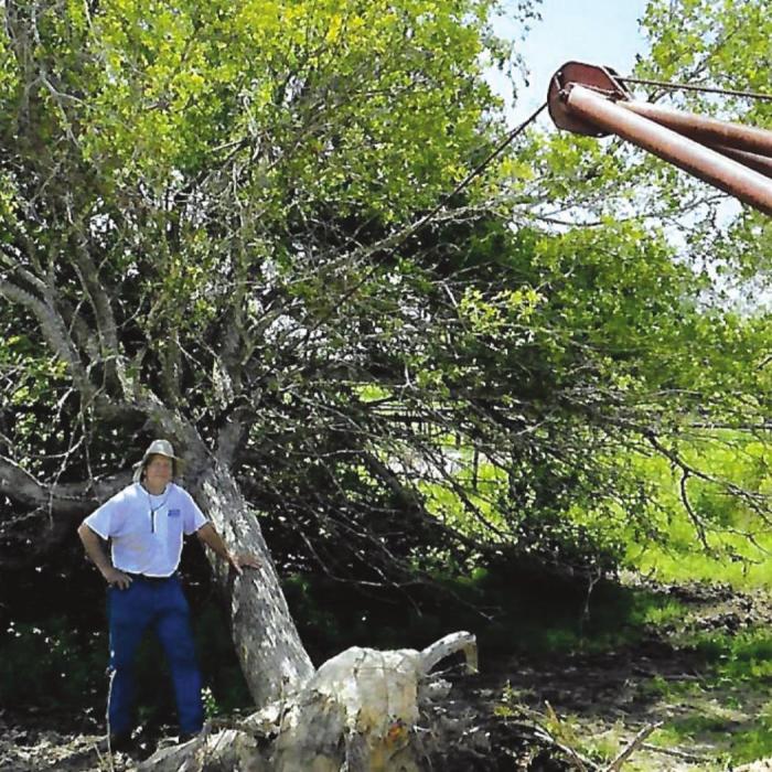 Florian Kana with the Resurrection Tree.