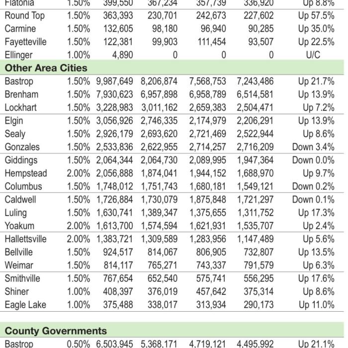 La Grange Ends Year With Record Sales Tax Revenue