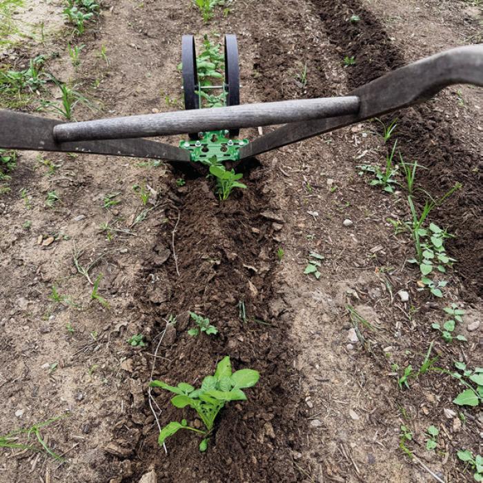 I used a wheel hoe to “hill” my potatoes this week.