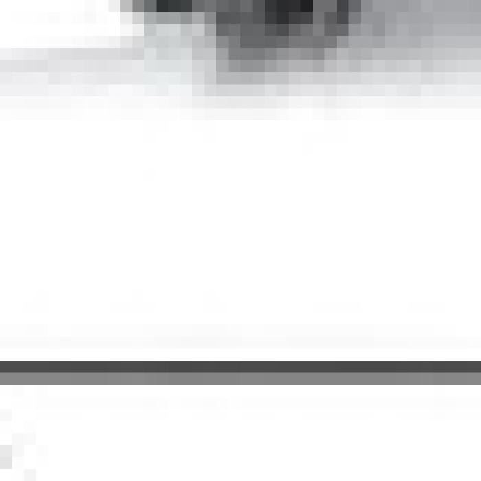 Alt Text for Image