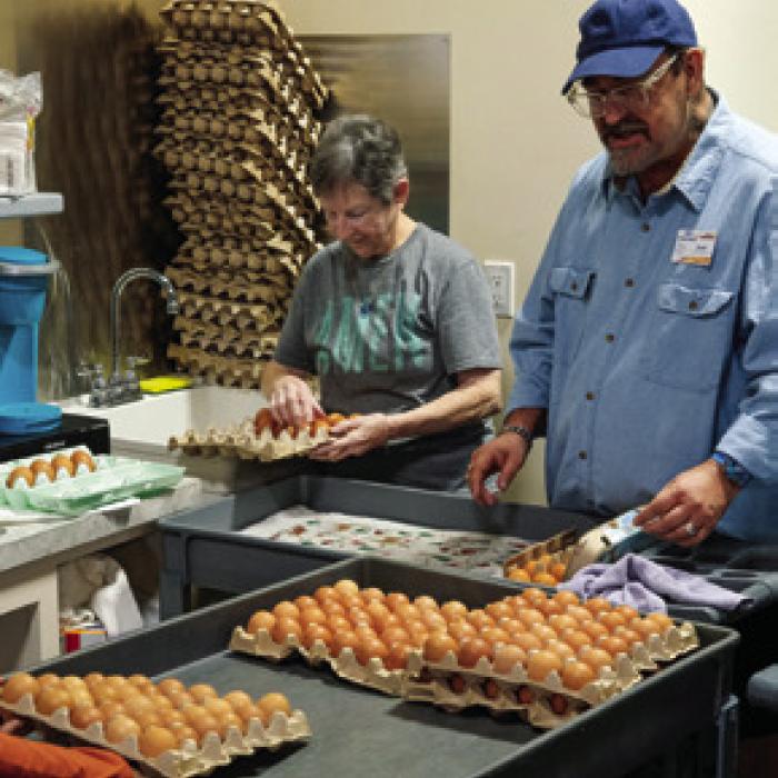 Volunteers process donated eggs at AMEN Food Pantry in La Grange on Monday.
