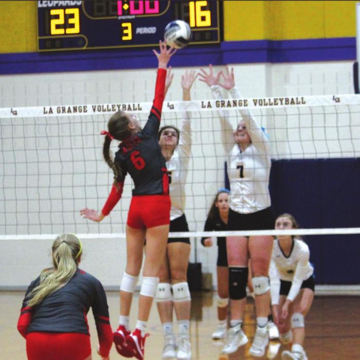 LG Gets First Volleyball Victory of 2020 Season