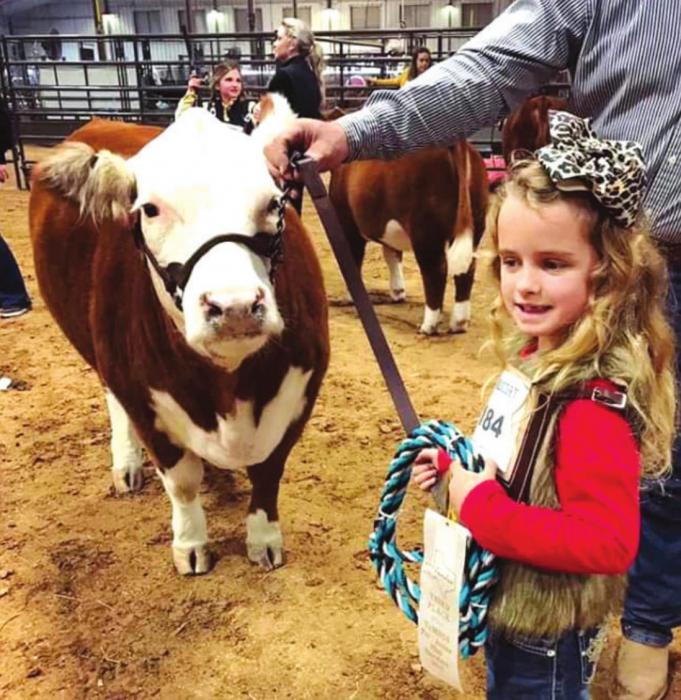 Bristol Smitley is pictured here with her mini hereford “Lil Red.” She received a third place ribbon at the Texas Miniature Hereford Southern Showdown in Bryan at the Brazos Expo Center recently.