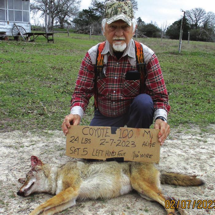 Marburger Snares 100th Coyote
