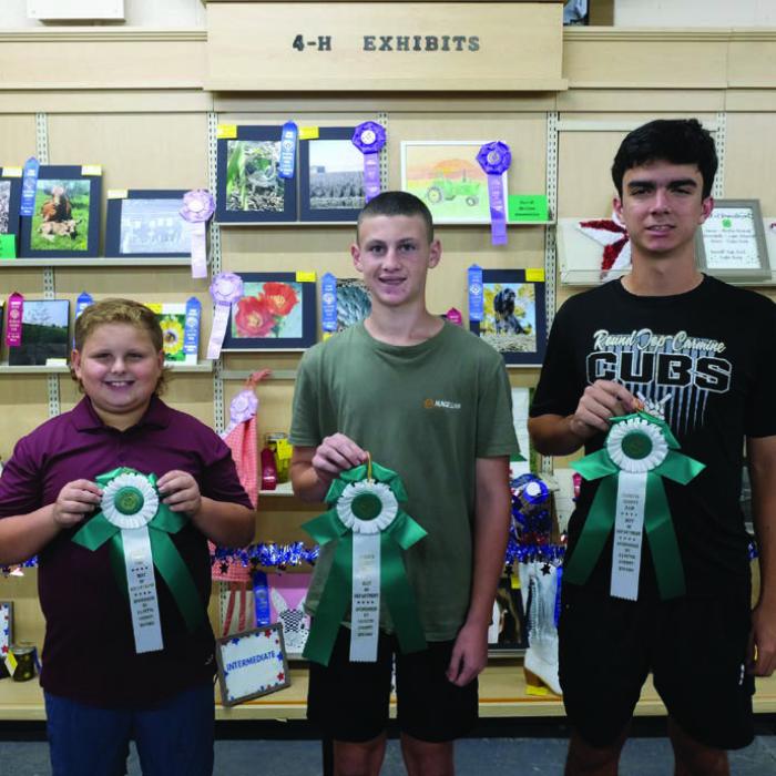 BEST OF THE 4-H DEPARTMENT From left, best of department in the junior division went to Stuckton Emshoff for a faded fungi photo; best of department in the intermediate division went to Logan Schwenke for a tractor painting; best of department in the senior division went to Caden Tovey for a lamp. Photos by Andy Behlen