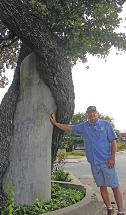 Jimmy Dwigans stands next to the concrete trunk filler his father-in-law built 50 years ago to stabilize the Muster Oak. Photos by Jeff Wick
