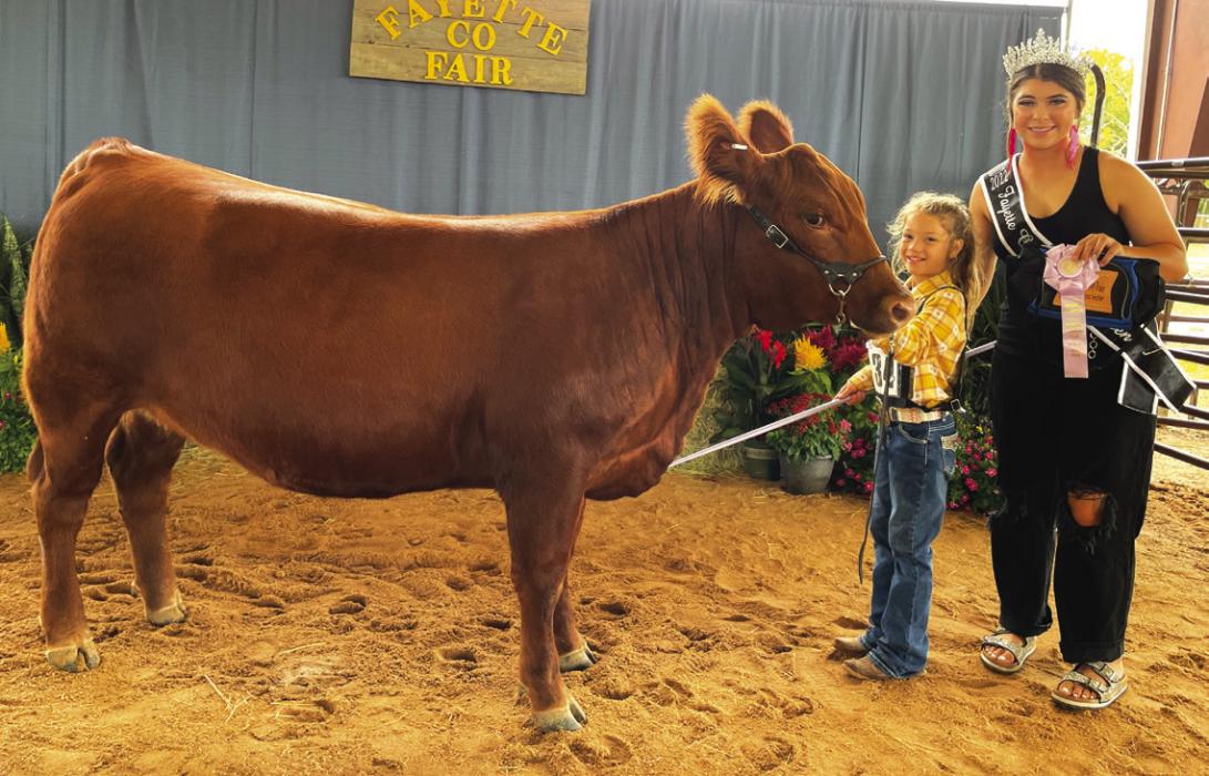 JUNIOR BEEF BREEDING SHOW EXOTIC RESERVE CHAMPION Raelynn Beseda with Fayette County Fair Queen Teagan Branch